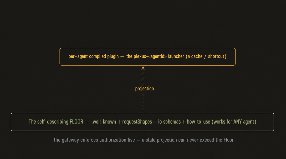 The self-describing floor, and the per-agent compiled plugin projected over it