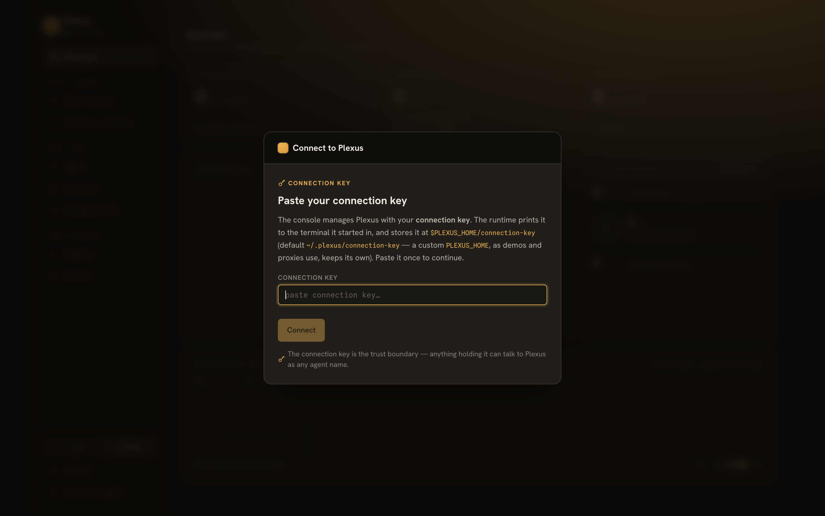 Paste your connection key