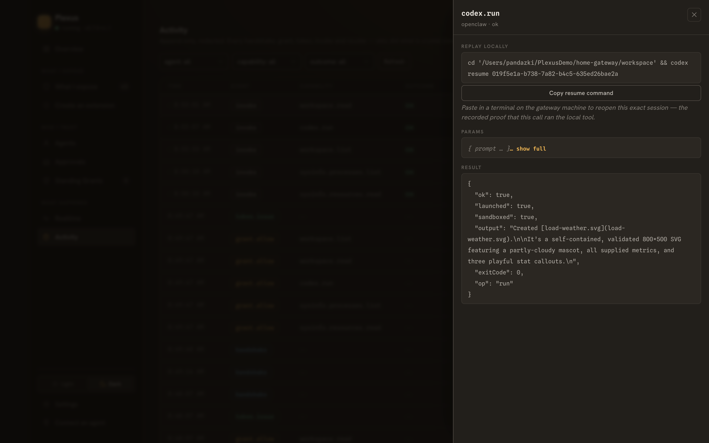 Replay the run in a local terminal